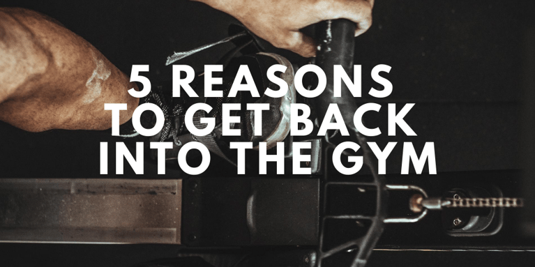 5 Reasons To Get Back In The Gym