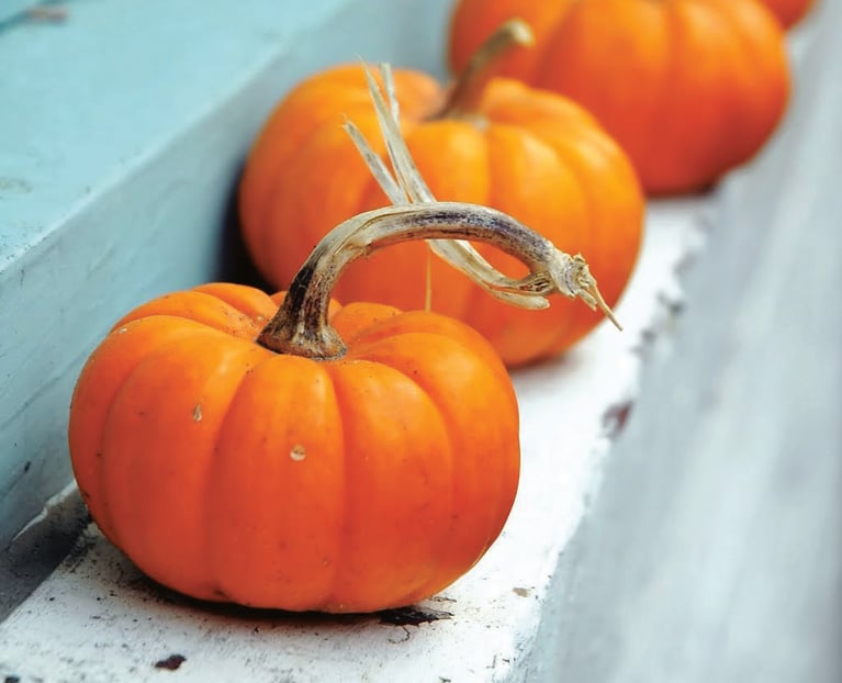 9 Impressive Health Benefits of Pumpkin